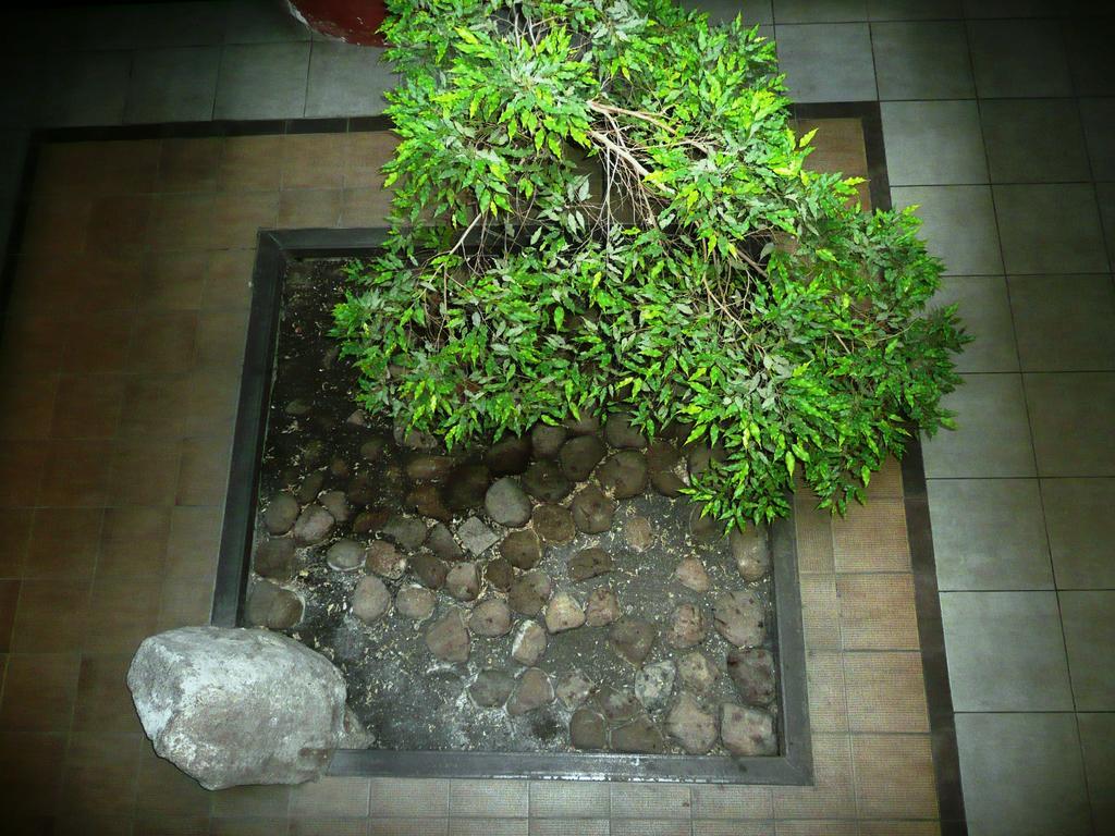 Like Home Apartments - 2 Rooms With Balcony Аеропорт Вільнюс Екстер'єр фото